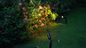 Landschaft wasserdichtes IP65 im Freien schwarzes goldenes LED Garten-AluminiumScheinwerferlicht des Druckguss-und LED-Spitzen-Licht fournisseur